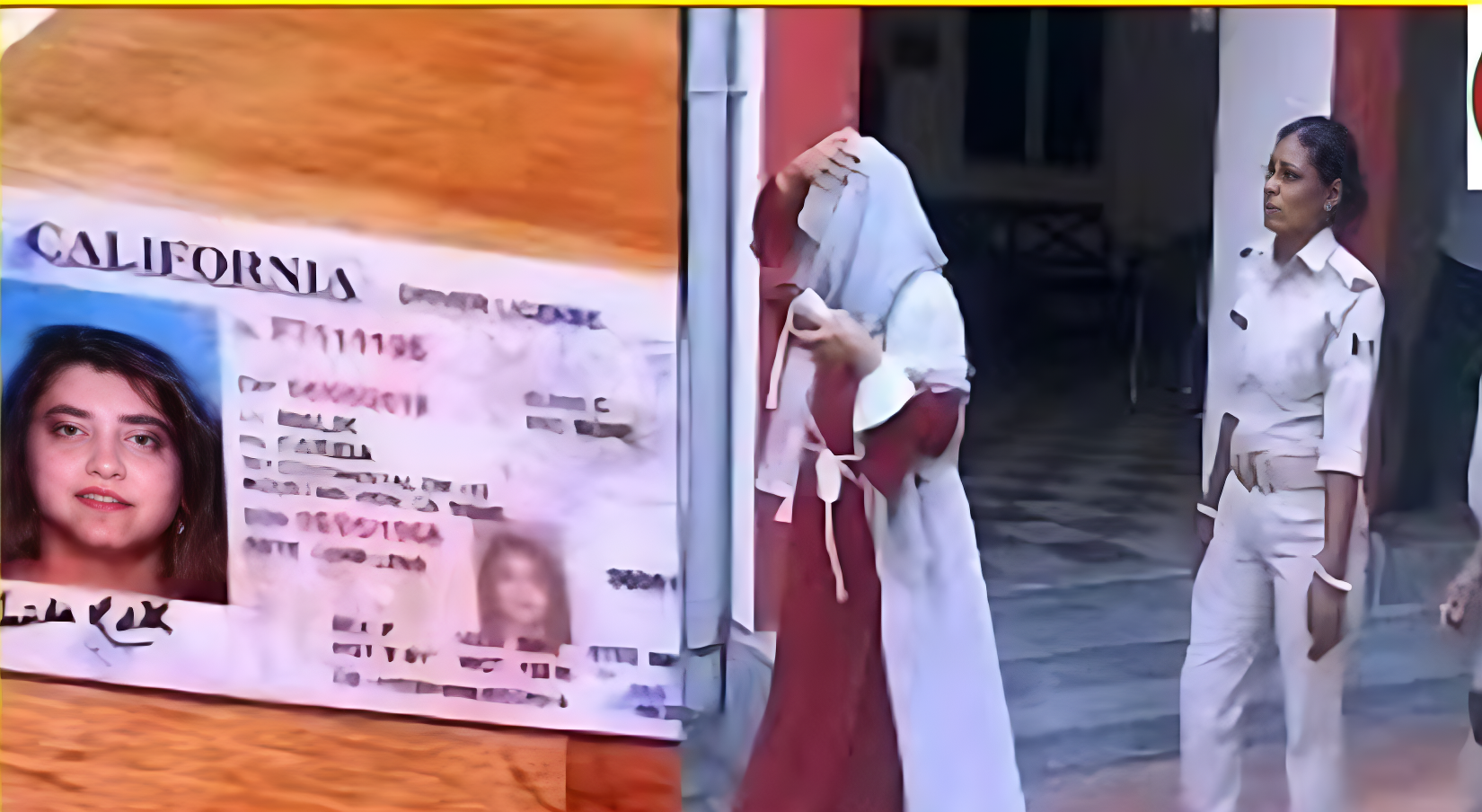 d66c740e-9c0a-4d76-b5e9-8284c37fe819