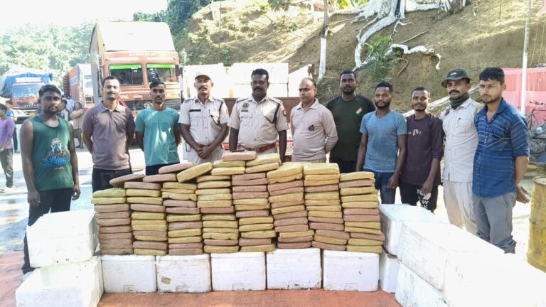 মাছের কার্টুনে লুকানো অবস্থায় জব্দ করা ২৫৮ কেজি গাঁজা—চুরাইবাড়ি ওয়াচ পোস্টে পুলিশের অভিযান