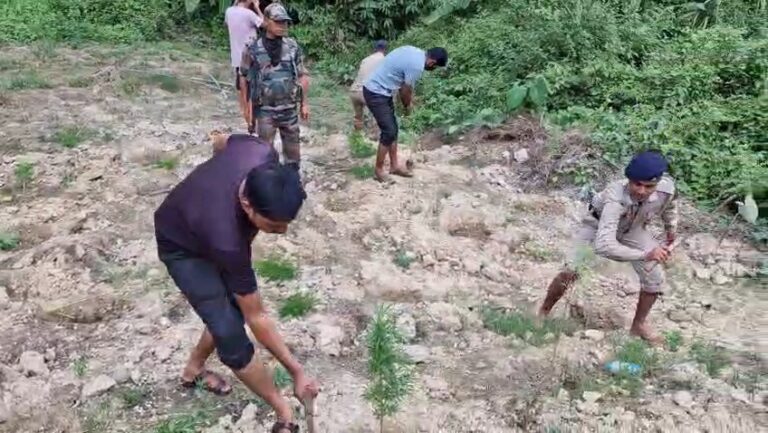 IMG_20251102_15432300