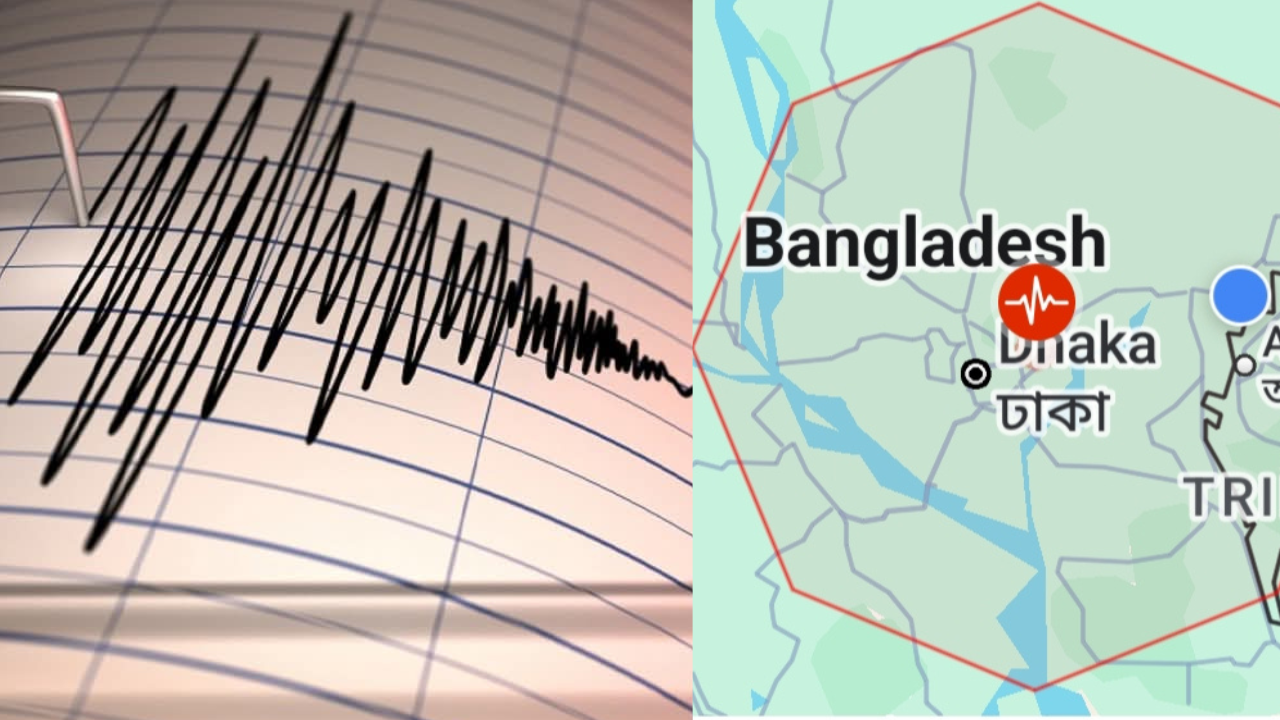 সংগ্রহীত ছবি