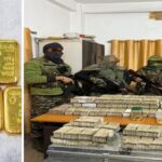 সংগ্রহীত ছবি_20260107_184908_0000